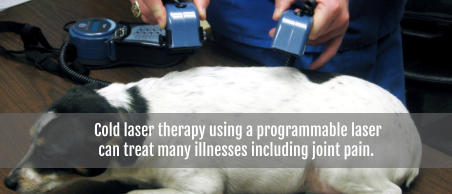Cold laser therapy using a programmable laser can treat many illnesses including joint pain.
